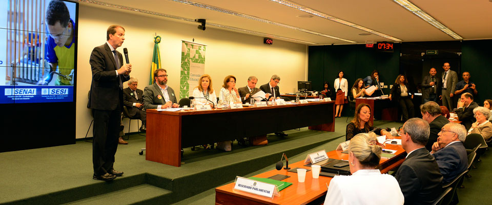Diretor-geral do SENAI, Rafael Lucchesi, faz apresentação em Comissão da Câmara dos Deputados